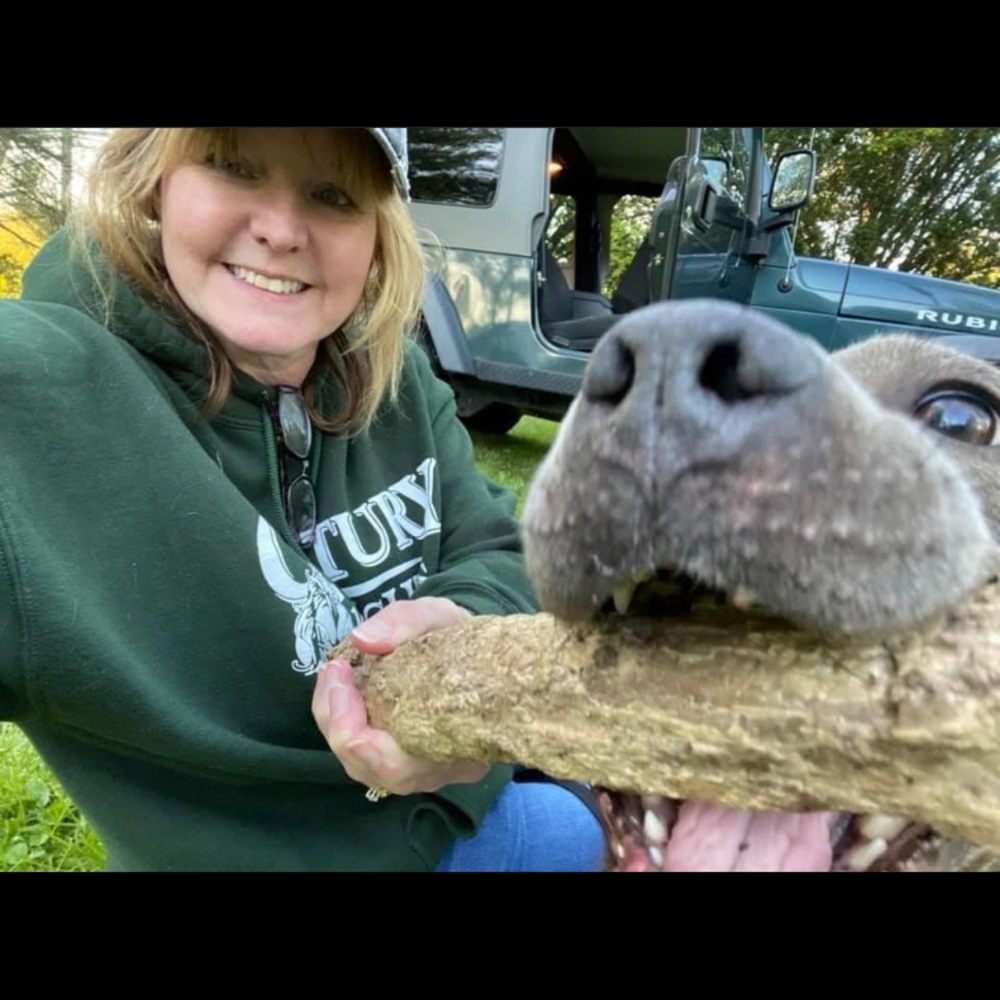 Meet your Posher, Elizabeth